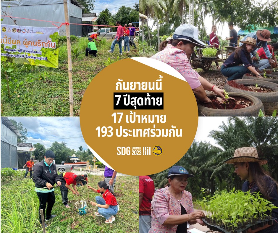 อาหารคือจุดเริ่มต้นของชีวิต 🍎🥗💦 ปลูกผักกินเอง สร้างความมั่นคง มั่งคั่ง อย่างยั่งยืน 
.
#76จังหวัด76คำมั่นสัญญา กระทรวงมหาดไทยร่วมขับเคลื่อนเป้าหมาย SDGs ทั้ง 17 ข้อ เพื่อบรรลุ SDGs ภายในปี 2030! 🌏🤝🏼
.
#กระทรวงมหาดไทย น้อมนำพระราชดำริกรมสมเด็จพระเทพรัตนราชสุดาฯ สยามบรมราชกุมารี ขับเคลื่อนโครงการ “บ้านนี้มีรัก ปลูกผักกินเอง” และ “ทางนี้มีผล ผู้คนรักกัน” มุ่งกระตุ้นให้คนทุกเพศทุกวัยรู้จักการเพาะปลูก การบำรุงรักษา และการเก็บเกี่ยว สร้างความมั่นคงทางอาหารอย่างยั่งยืน อีกทั้งยังสร้างความรักความสามัคคีให้เกิดขึ้นในสังคมการทำงาน ขยายไปสู่ครัวเรือน ชุมชน สังคม ทำให้ประชาชนสามารถพึ่งพาตนเองได้ ตามหลักปรัชญาของเศรษฐกิจพอเพียง ต่อยอดไปสู่การนำไปขาย เป็นการสร้างรายได้ลดรายจ่าย ช่วยส่งเสริมและสนับสนุนการพัฒนาคุณภาพชีวิตของประชาชนให้มีความเป็นอยู่ที่ดีขึ้น ลดความเหลื่อมล้ำ สร้างภูมิคุ้มกันตนเองและครอบครัวอย่างยั่งยืน
.
และนี่คือส่วนหนึ่งในการดำเนินการของกระทรวงมหาดไทย เพื่อบรรลุ “17 เป้าหมายการพัฒนาที่ยั่งยืน (SDGs)” ของ UN 🎯✨โดยประเด็นด้านความมั่นคง มั่งคั่ง ลดความเหลื่อมล้ำ คือหนึ่งในหมุดหมาย SDGs ในมิติเศรษฐกิจ (Prosperity) ของ UN ที่ประกอบด้วย #SDG7 พลังงานสะอาดและเข้าถึงได้ #SDG8 การเติบโตทางเศรษฐกิจและการจ้างงานที่ดี #SDG9 อุตสาหกรรมโครงสร้างพื้นฐานและนวัตกรรม #SDG10 ลดความเหลื่อมล้ำ #SDG11เมืองและชุมชนยั่งยืน
👉 พวกเราทุกคนสามารถเป็นส่วนหนึ่งในการร่วมมือกันเพื่อพิชิตเป้าหมายการพัฒนาที่ยั่งยืนได้ง่าย ๆ ด้วยวิธีเหล่านี้
💛 ปลูกพืชผักสวนครัวในพื้นที่บริเวณบ้านตามที่กิน หากเหลือให้แจกจ่าย หรือต่อยอดสร้างรายได้ให้แก่ครอบครัว
💛 นำเศษอาหารไปหมักเป็นปุ๋ย วิธีนี้ ดินจะได้สารอาหารอย่างเพียงพอ อีกทั้งยังเป็นการลดการปล่อยก๊าซคาร์บอนฯ ที่เป็น 1 ในสาเหตุของภาวะโลกร้อนอีกด้วย
💛 ซื้อและตักอาหารแค่พอทาน ไม่เหลือทิ้ง
__________
SDGs หรือเป้าหมายการพัฒนาที่ยั่งยืนเริ่มขึ้นในปี 2015 และจะจบลงในปี 2030 📌📅 ในช่วงเวลา 7 ปีสุดท้าย จึงเป็นหน้าที่ของพวกเราทุกคนในการร่วมมือร่วมใจกัน เพื่อให้โลกของเราบรรลุ SDGs ได้ทันเวลา ⏳
 .
📚 อ่านเพิ่มเติมเกี่ยวกับ SDGs ทั้ง 17 ข้อได้ที่: https://thailand.un.org/th/sdgs